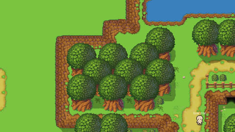 A dense forest on the island